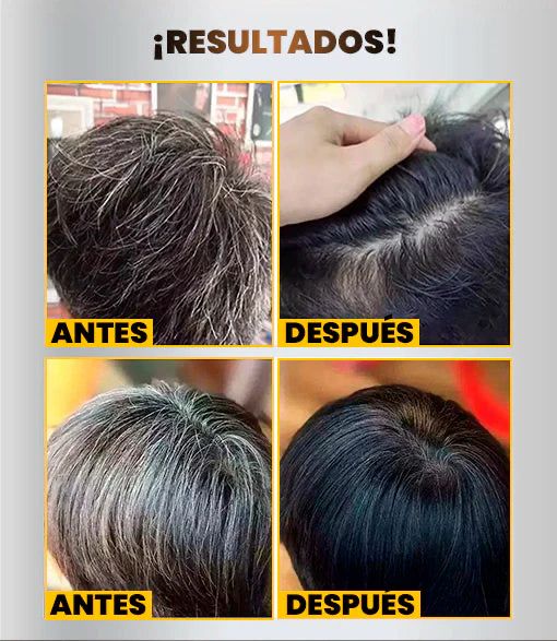 Shampoo Colorante Cubre Canas